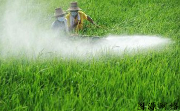 農藥產品防偽標簽如何防偽假冒產品流入市場