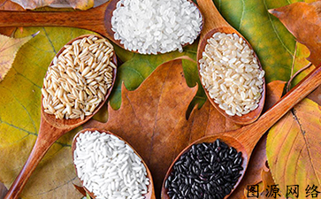 簡單又好用的技術，農產品溯源管理系統