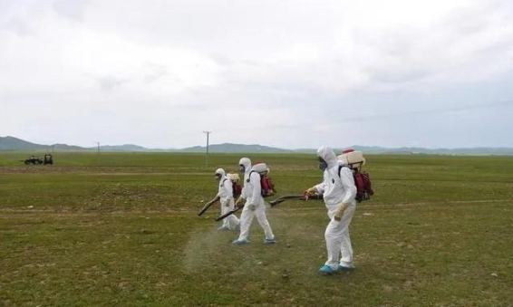 蝗災來襲，農藥獸藥防偽溯源面臨機遇和挑戰