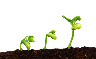 種子追溯系統如何實現？