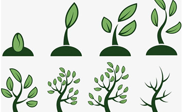 種子防竄貨系統(tǒng)如何實(shí)現(xiàn)？